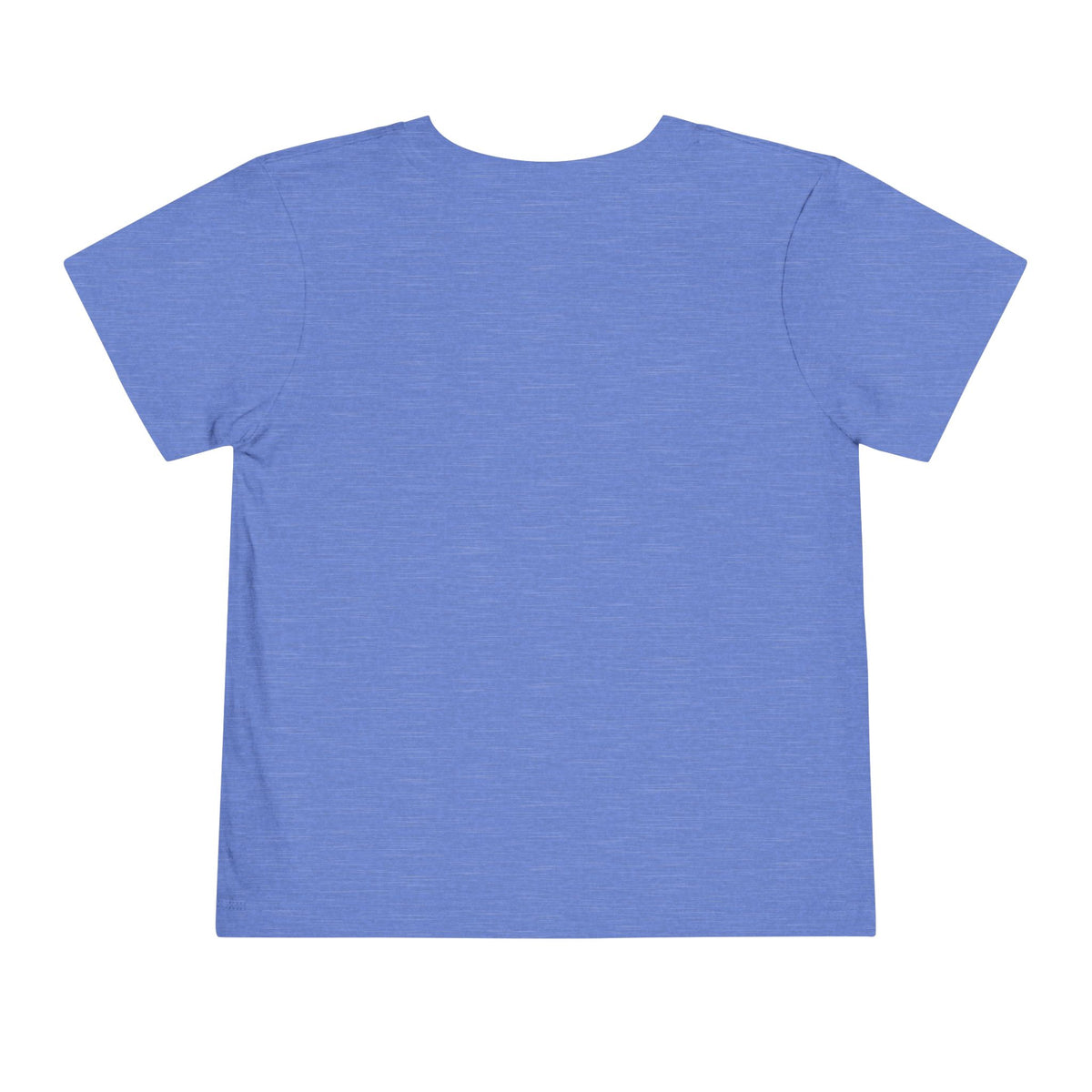 Tide Theory Toddler T-shirt | Boy’s