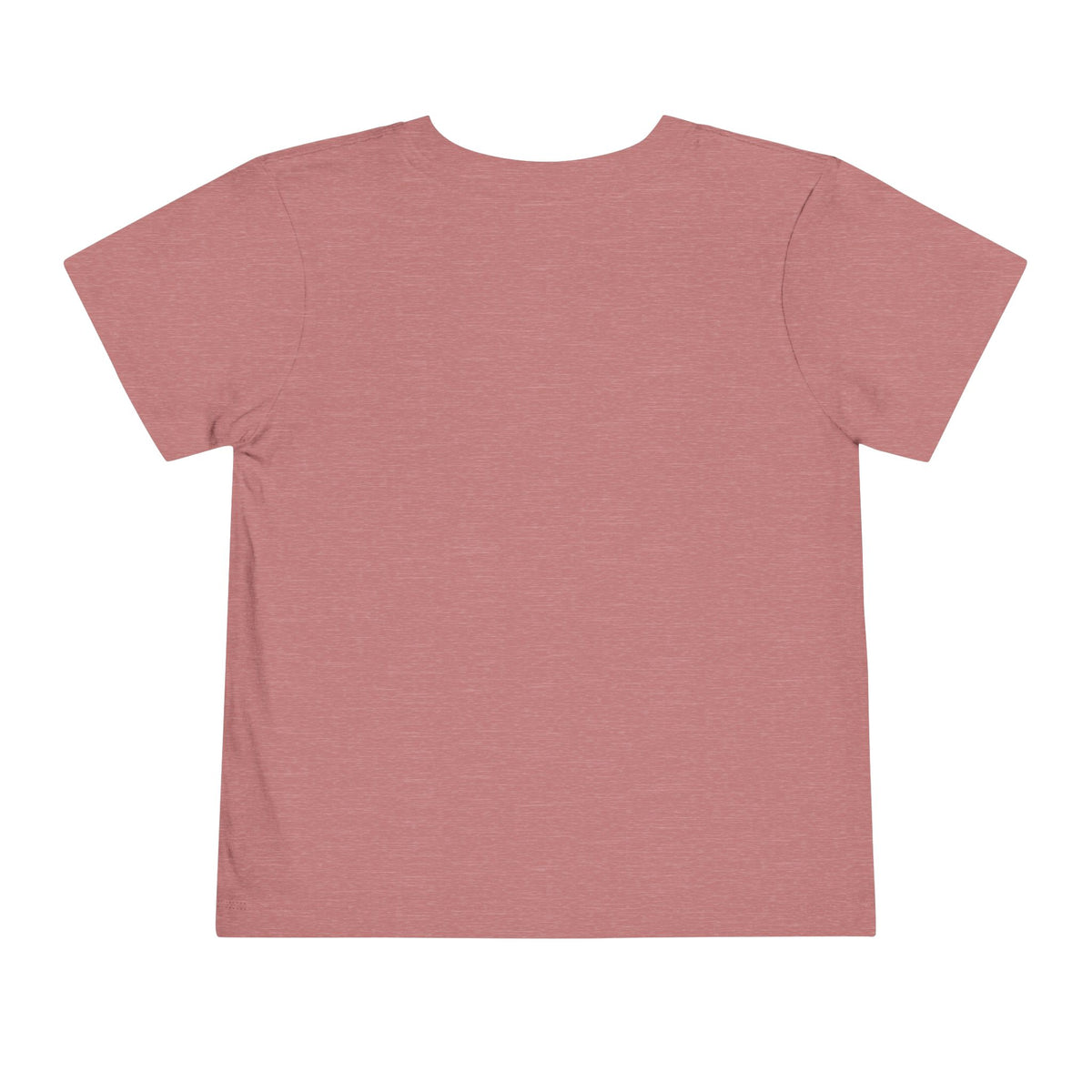 Tide Theory Toddler T-shirt | Boy’s