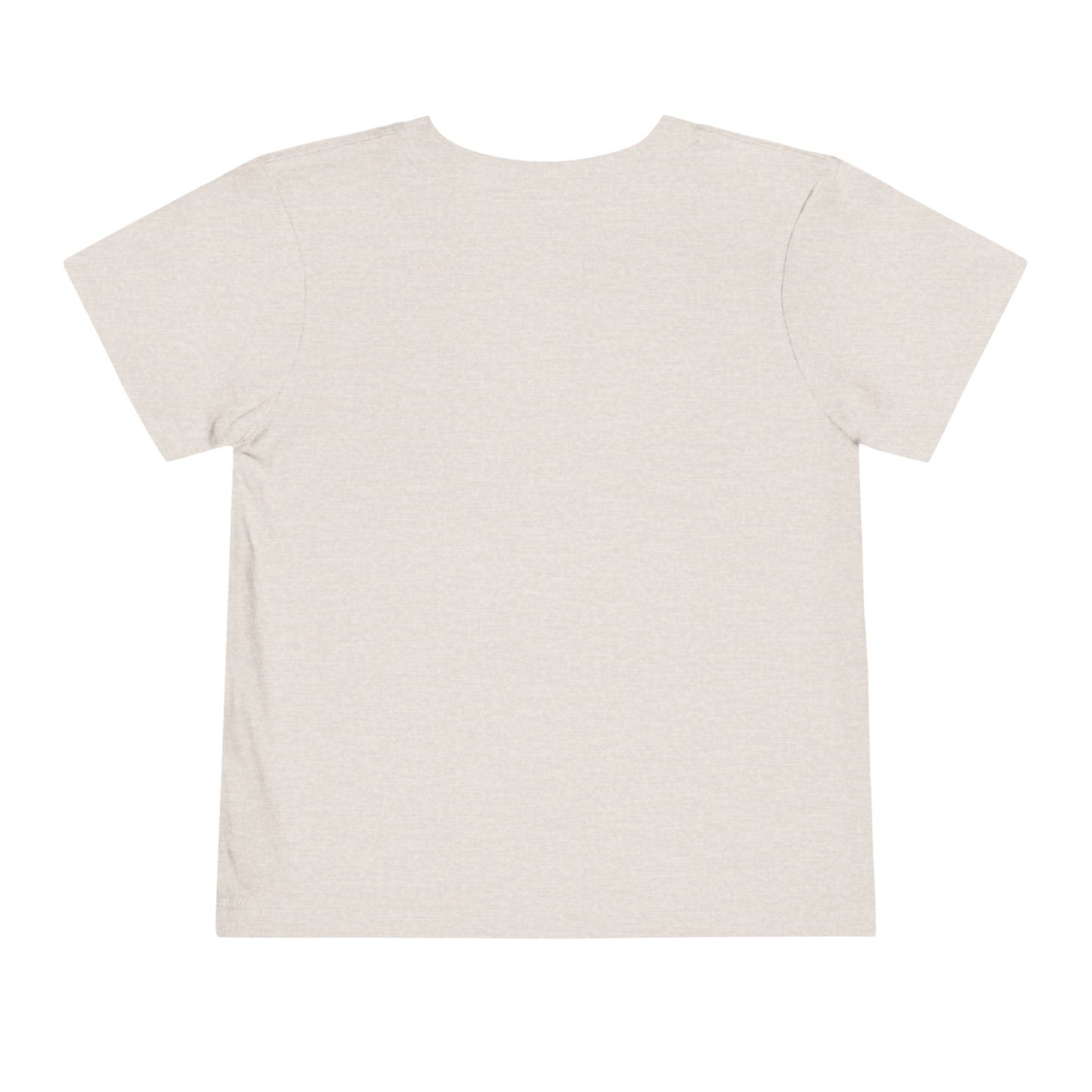 Tide Theory Toddler T-shirt | Boy’s