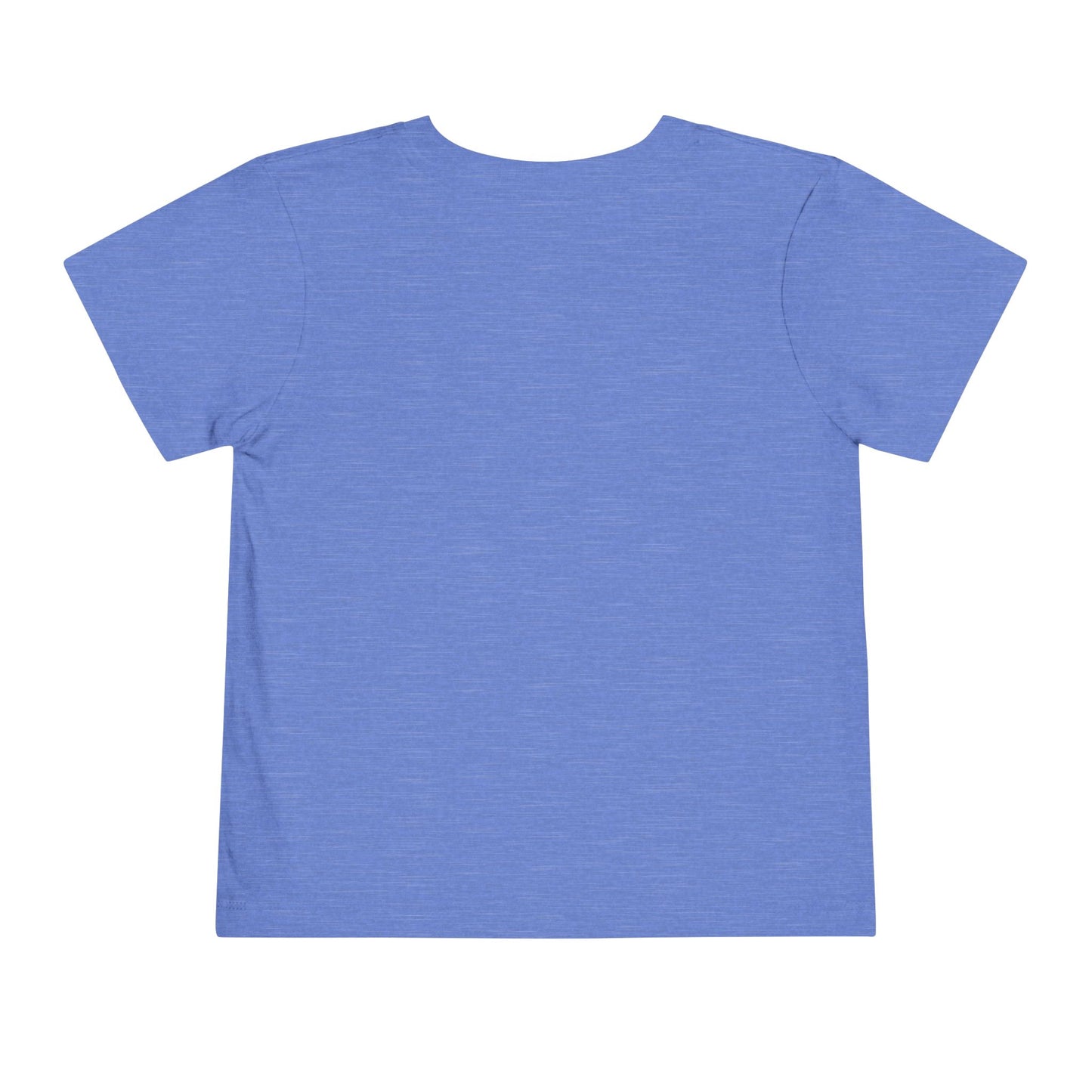 Tide Theory Toddler T-shirt | Boy’s