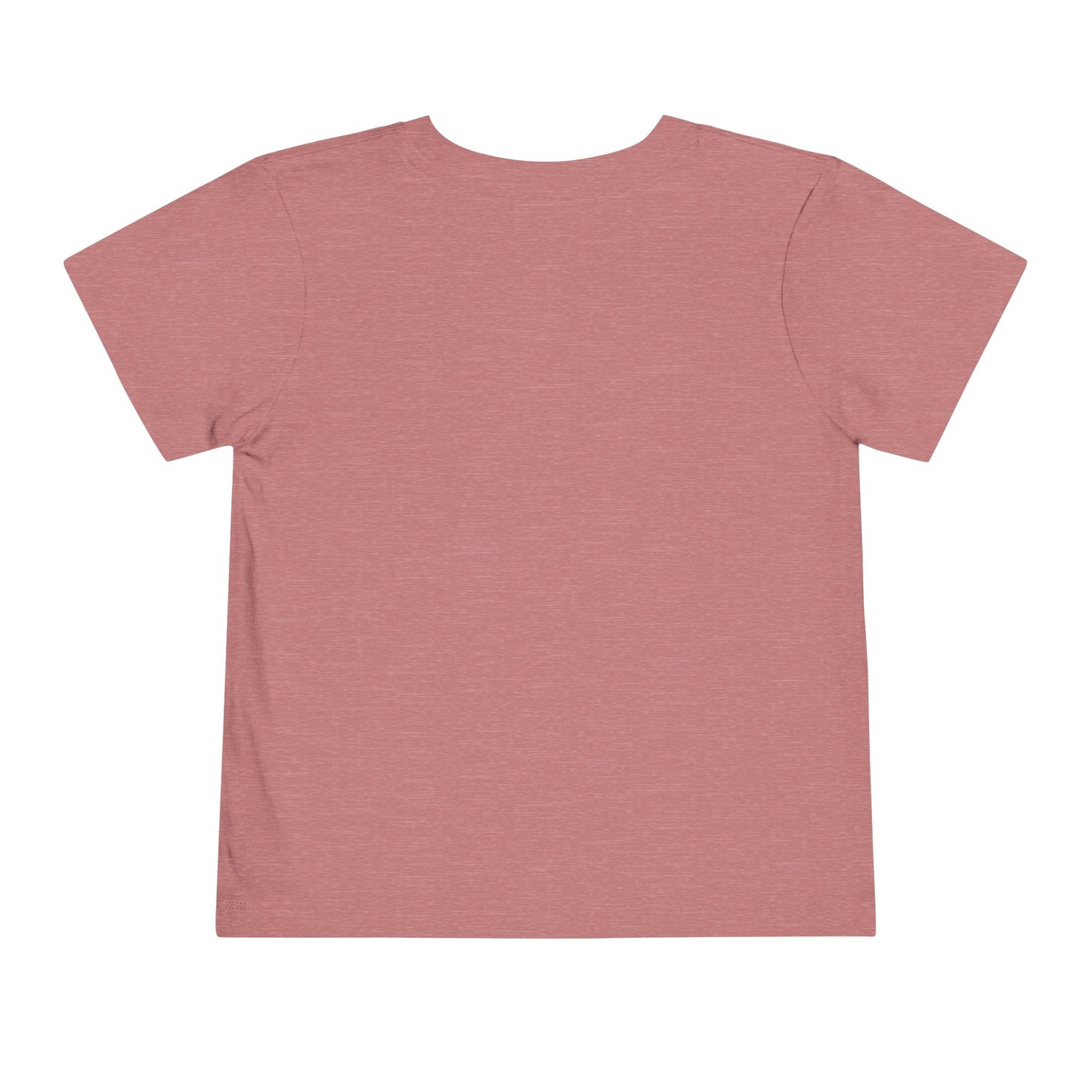 Tide Theory Toddler T-shirt | Boy’s