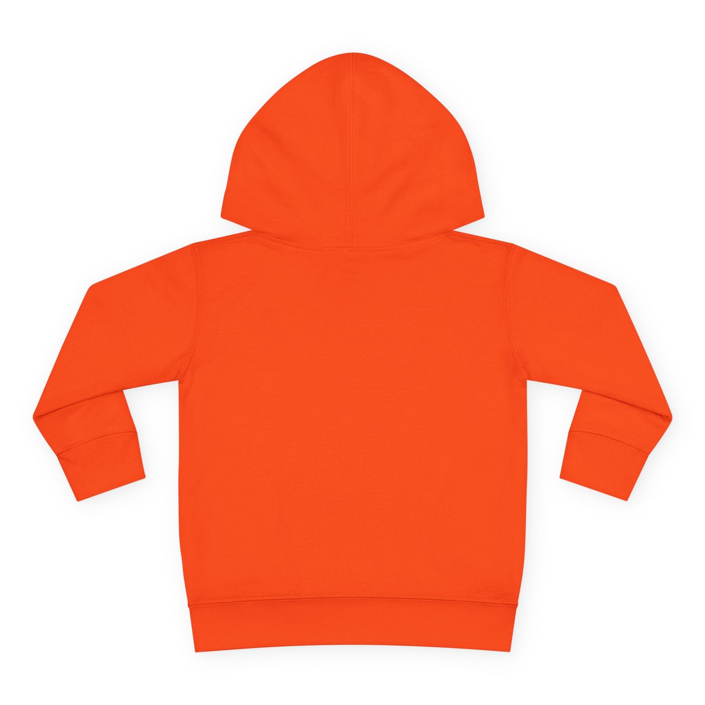 Tide Theory Hoodie | Toddler