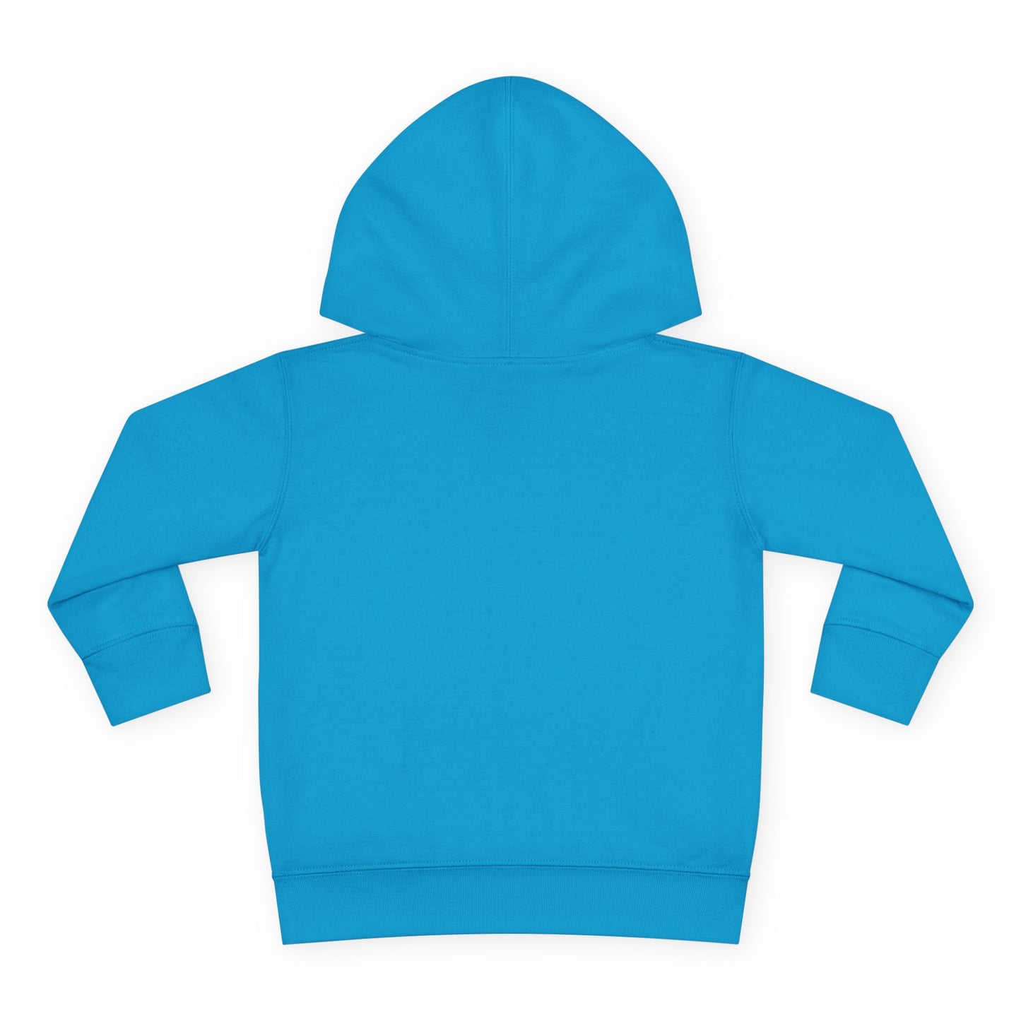 Tide Theory Hoodie | Toddler